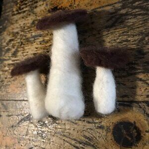 Handmade needle felted mushrooms brown and white